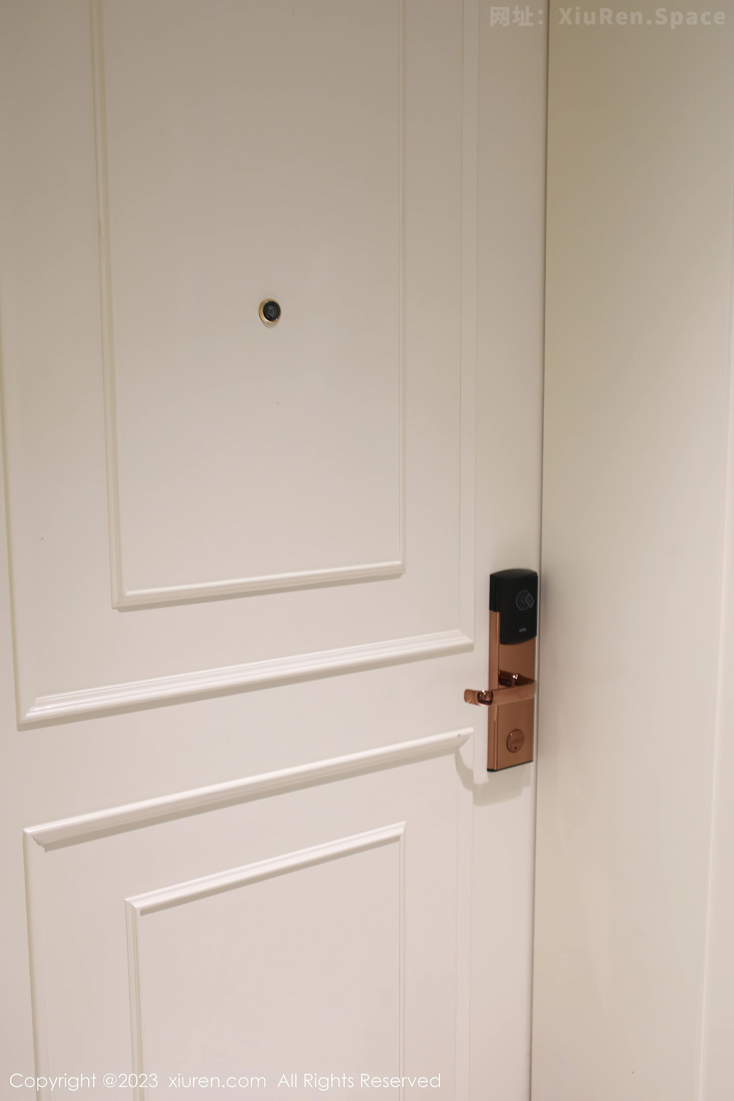 图片[6]-[XiuRen秀人网]2023.04.21 NO.6612 乔一一 银色吊脖裸背连衣裙加肉丝美腿性感私房写真集-秀人网官方网站